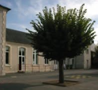 École Élémentaire Publique, Foëcy - Horaires d'ouverture
