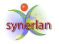 Synerlan Ssii, Lyon - Horaires d'ouverture