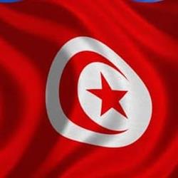 Consulat De Tunisie, Toulouse - Horaires d'ouverture