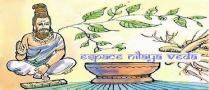 Espace Nilaya Veda, Saint-Vincent-de-Paul - Horaires d'ouverture
