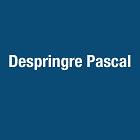 Despringre Pascal, Méteren - Horaires d'ouverture