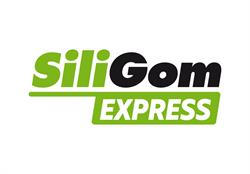 SILIGOM EXPRESS - KENNEDY SERVICES, Ajaccio - Horaires d'ouverture