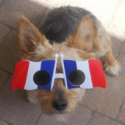 Ceca80 Club D'education Canine D'abbeville, Abbeville - Horaires d'ouverture