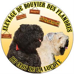 Le Bouvier Des Flandres, Puyravault - Horaires d'ouverture
