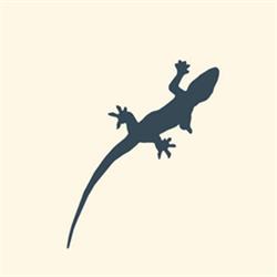 Le Petit Lézard, Palavas-les-Flots - Horaires d'ouverture