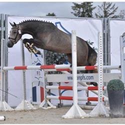Centre Equestre La Courbette, Boissy-sous-Saint-Yon - Horaires d'ouverture