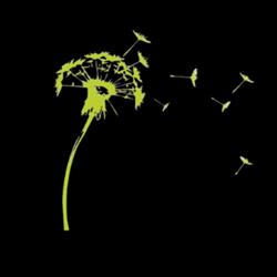 Naturellement Fleurs, Rémilly - Horaires d'ouverture
