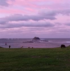 La Duchesse Anne, Ouessant - Horaires d'ouverture