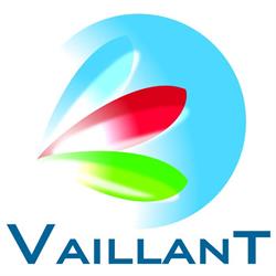 Vaillant, Saint-Renan - Horaires d'ouverture