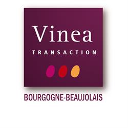 Vinea Transaction Bourgogne Beaujolais CIMEX, Belleville - Horaires d'ouverture