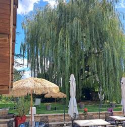 Restaurant les Saules, Quincey - Horaires d'ouverture