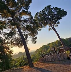 L'Auberge des 2 Pins, La Motte - Horaires d'ouverture