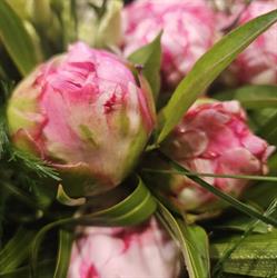 Claudie Fleurs, Valréas - Horaires d'ouverture