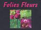 Folies Fleurs, Toucy - Horaires d'ouverture