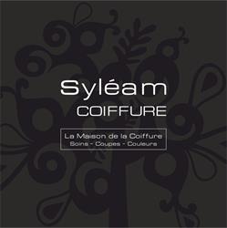 Syleam SARL, Castres - Horaires d'ouverture