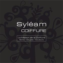 Syleam SARL, Castres - Horaires d'ouverture
