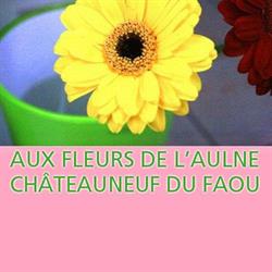 Aux Fleurs de l'Aulne, Châteauneuf-du-Faou - Horaires d'ouverture