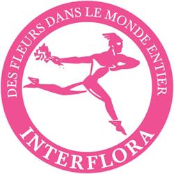 Guévy Fleurs, Baud - Horaires d'ouverture