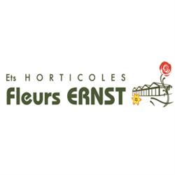 Fleurs Ernst, Sarre-Union - Horaires d'ouverture