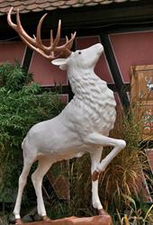 Hostellerie Du Cerf Blanc, à Neuhaeusel, - Horaires d'ouverture