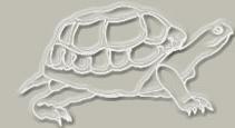 Restaurant la Tortue, Honfleur - Horaires d'ouverture