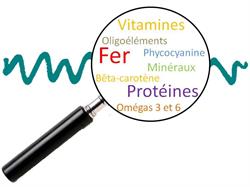 Couleur Spiruline, Barbentane - Horaires d'ouverture