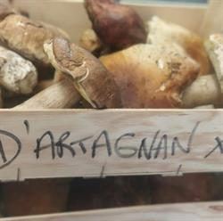 Le D'artagnan, L'Isle-Jourdain - Horaires d'ouverture