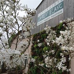 Jardin Blanc, Saint-Hilaire-du-Rosier - Horaires d'ouverture