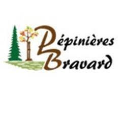 Hpf Pépinières Bravard, Barrou - Horaires d'ouverture