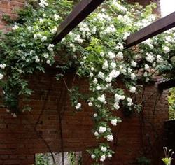 Chez Hansel et Gretel, Wingersheim - Horaires d'ouverture