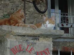 Hue Le Vent, La Digne-d'Amont - Horaires d'ouverture