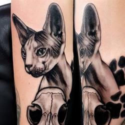 Sept Tattoo, Saint-Raphaël - Horaires d'ouverture