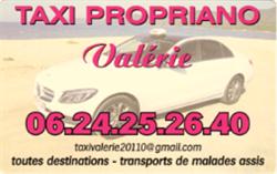TAXI A PROPRIANO VALERIE, Propriano - Horaires d'ouverture