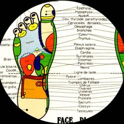 Réflexo Fun - Réflexologie et Massage Acupression, Bordeaux - Horaires d'ouverture
