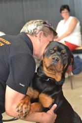 Educateur canin, Seclin - Horaires d'ouverture