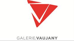 GALERIE VAUJANY, Grenoble - Horaires d'ouverture