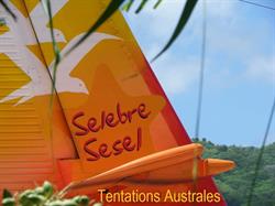 Tentations Australes, Dijon - Horaires d'ouverture
