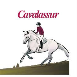 Assurance et Audit, Cavalassur, Chantilly - Horaires d'ouverture