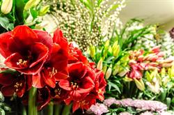 Point Fleurs, Paris - Horaires d'ouverture