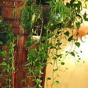 Bollywood Tandoor Lyon (Restaurant Indien), - Horaires d'ouverture