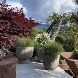 Jardinerie F L O R I A N . Molliex, Tournon - Horaires d'ouverture