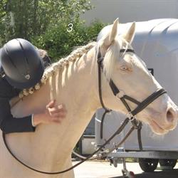 Poney Club de la Pierre Bleue, Vay - Horaires d'ouverture