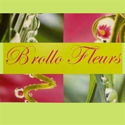 Brollo Fleurs, Auterive - Horaires d'ouverture