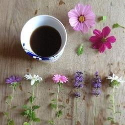 GRAIN DE CAFE, Laval - Horaires d'ouverture
