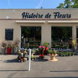 Histoire de Fleurs, Marmagne - Horaires d'ouverture