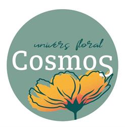 Cosmos, Seiches-sur-le-Loir - Horaires d'ouverture