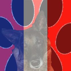 L Atelier Du Chien Neptune, Limésy - Horaires d'ouverture