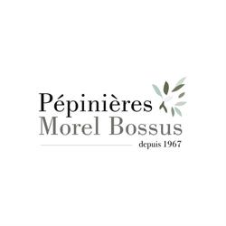 Pépinières Morel Bossus, Fessy - Horaires d'ouverture