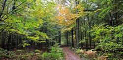 Résidence de Brocéliande, Paimpont - Horaires d'ouverture
