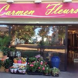 Carmen Fleurs, Le Plessis-Trévise - Horaires d'ouverture